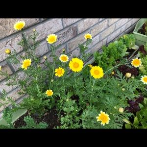 Meet your Posher, Jiyoung